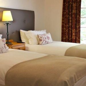 Superior Twin Suite